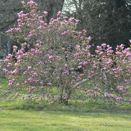 La Grande Racinaie * Cre-sur-Loir