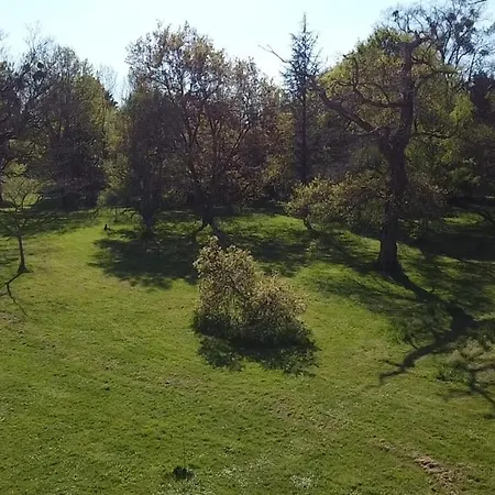 La Grande Racinaie *